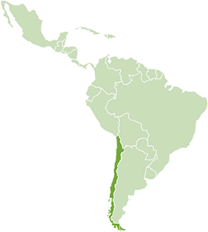 SUPERINTENDENCIA DEL MEDIO AMBIENTE 