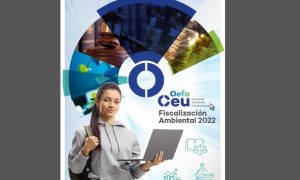 OEFA ofrece 72 becas de estudio para su Curso de Extensión Universitaria 2022