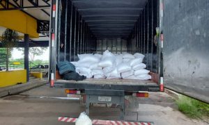 Ibama incauta 15 toneladas de plaguicidas de contrabando frente a las costas de São Paulo