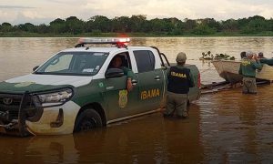 Ibama supervisa período de desove en la cuenca del río São Francisco