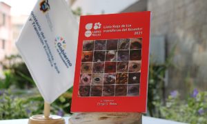 Ecuador cuenta con la tercera edición del Libro Rojo de mamíferos