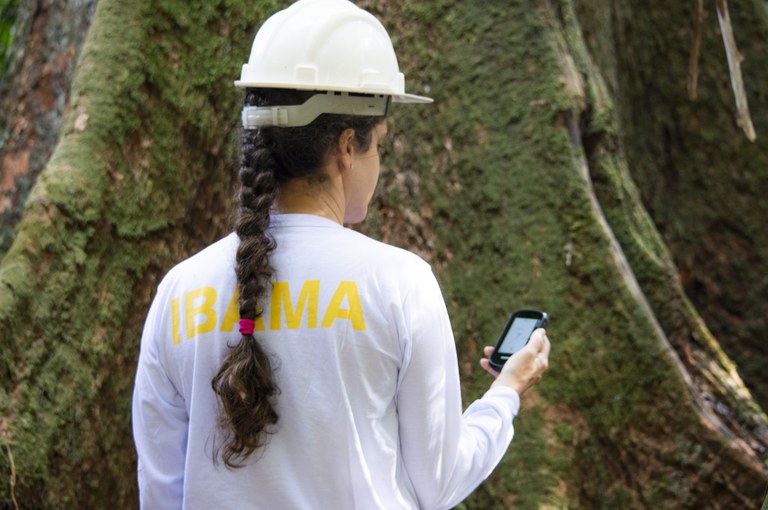 Proyecto Ibama en conjunto con Expertise France ofrece curso sobre Gestión Forestal Sostenible a agencias ambientales