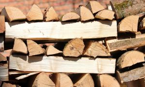 Profepa dona a la Semar 352 metros cúbicos de madera decomisada