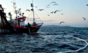 OEFA organizó conferencia sobre obligaciones ambientales en el subsector pesca