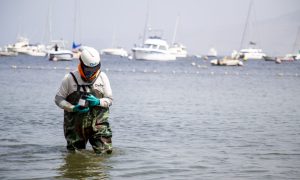 Diez playas afectadas por derrame de petróleo de Repsol aún registran presencia de hidrocarburos
