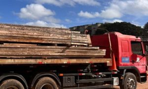 Ibama dona madera incautada para rehabilitación de viviendas en el municipio de Chuí (RS)