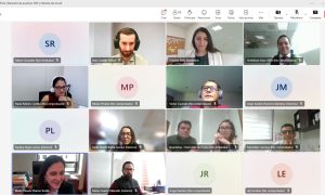 Presidencia Pro Tempore realizó segunda reunión de trabajo 2025 con puntos focales de REDLAFICA